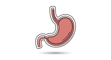 Fototapeta premium Stylized graphic illustration of a human stomach, depicting a vital digestive organ for medical, anatomical, and health-related content. A clean icon representing gut health and internal biology