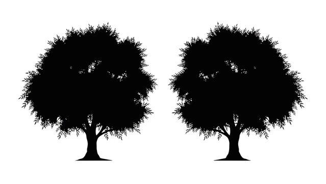 silhouette of two trees on white background