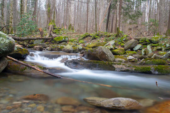 fast moving mountain streams flows increase after spring melt with freshwater racing from the mountain to the sea, sediment will be free to move down tp the ocean