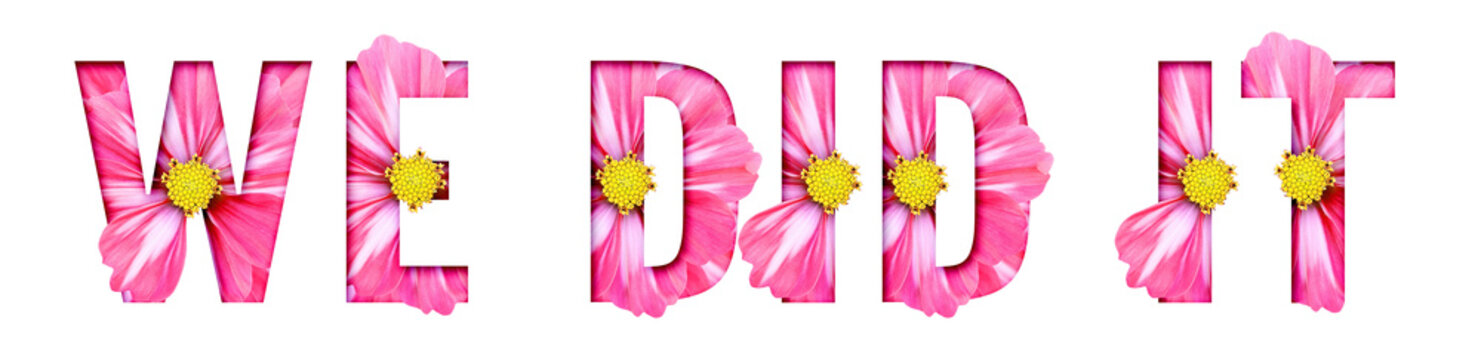 Pink Cosmos Flower We Did It Graduation Floral Typography Word Art High Resolution PNG