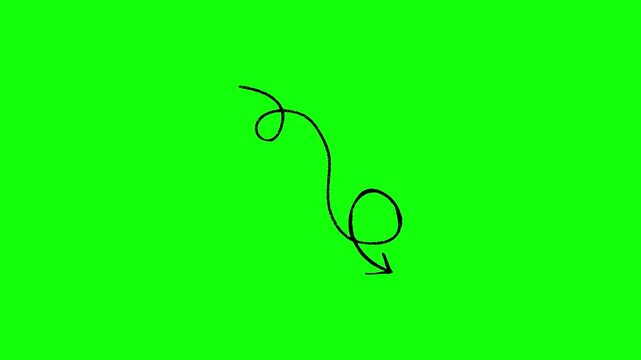 Animated black curly arrow drawing itself upwards, hand-drawn sketch style, line animating along the path, isolated on green screen background.
