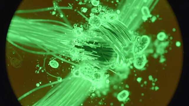 Microfiber Filament Interaction Observing Glowing Fibers in Bright Green Setting