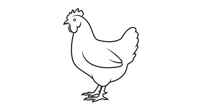 Simple Line Drawing of Chicken.
