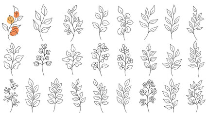 Fototapeta premium Collection of minimalist leaf and berry sprig illustrations are shown in a clean black and white line art style.