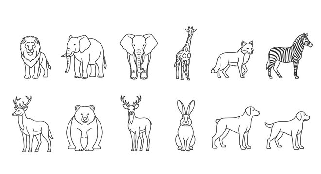 Collection of various wild animals standing 5.