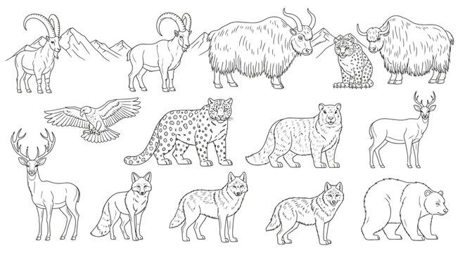 Collection of various wild animals standing 3.