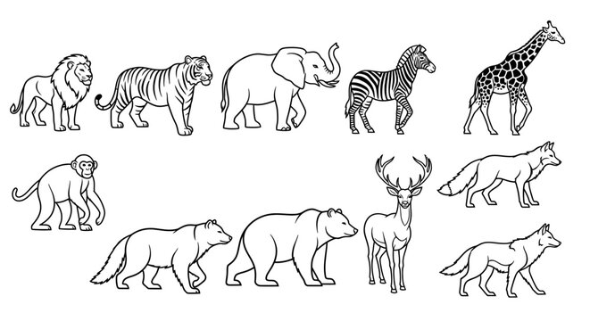 Collection of various wild animals walking 1.