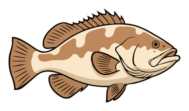 Stylized grouper fish flat vector icon isolated on w.... Generative AI