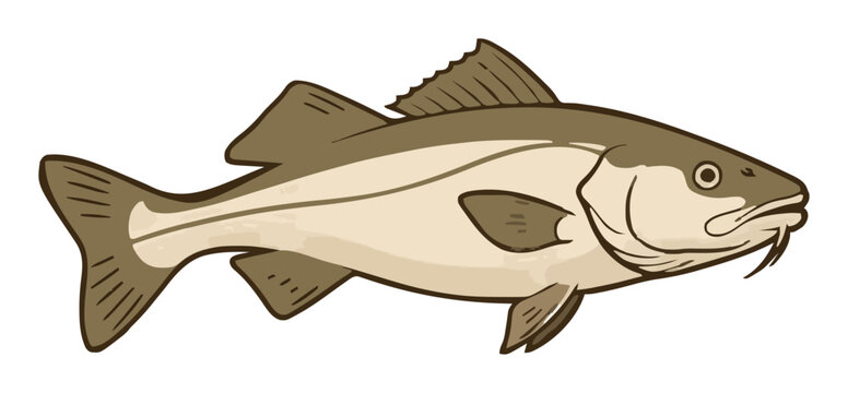 Stylized cod fish side view isolated on white backgr.... Generative AI