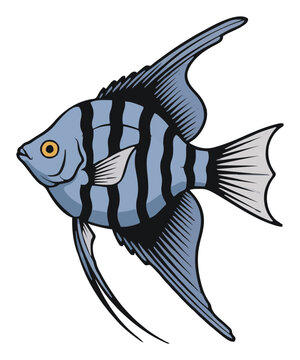 Tropical angelfish vector illustration side view iso.... Generative AI