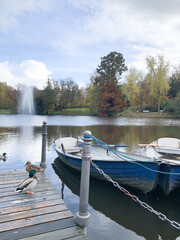 Fototapeta premium serene lake dock with rowboats at sunrise