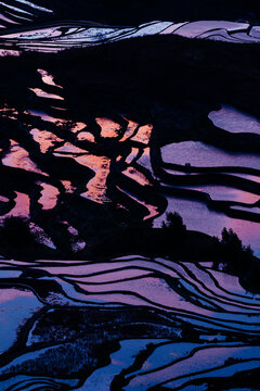 Sunrise over the historical Hani rice terrace in Yuanyang, Honghe, Yunnan, China