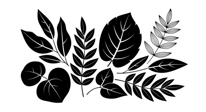Collection of various leaf shapes.