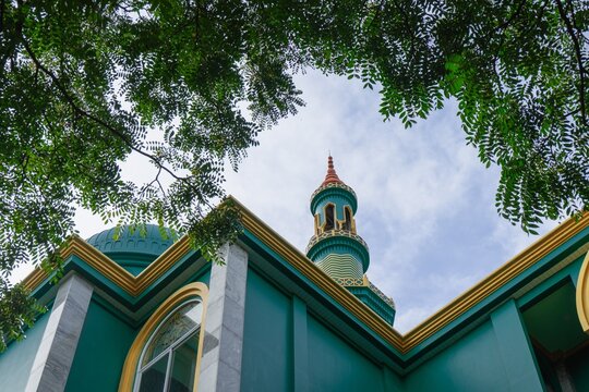 Low angle view of a green mosque and minaret framed by trees and cloudy sky