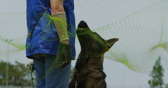 Handler entering frame and holding leash in training, dog rising into sit while green wave sweeping