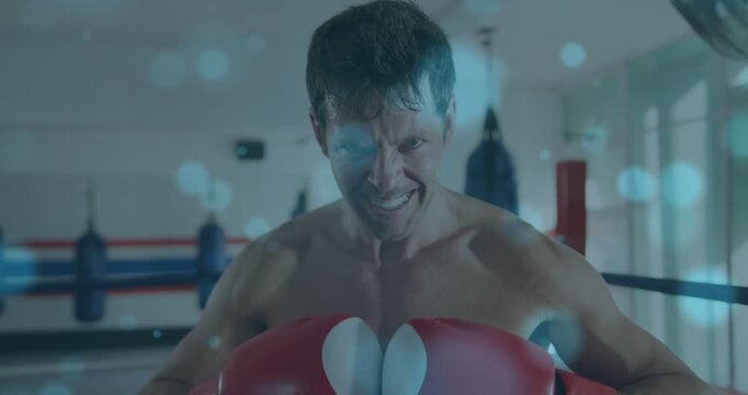 Facing camera, shirtless boxer tightening jaw, raising red gloves in boxing ring, preparing to spar