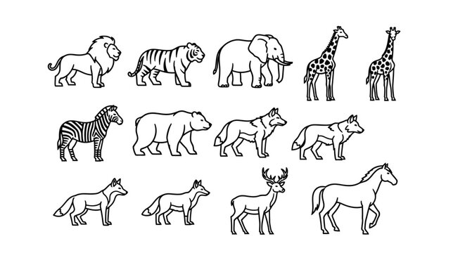 Collection of various wild animal drawings 6.