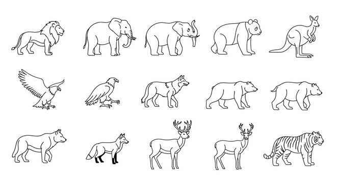 Collection of various wild animal drawings 7.