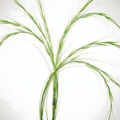 Fototapeta premium Abstract flowing green lines resembling grass or reeds on white background, conveying growth and nature