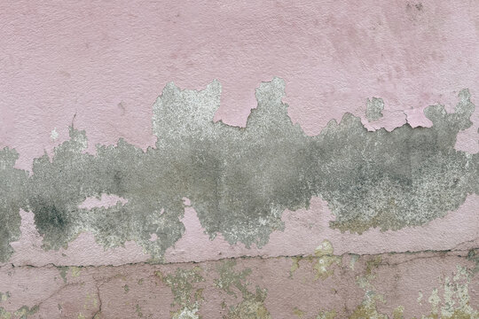 Peeling pink wall with cracked plaster and rough texture, weathered surface revealing gray cement underneath, abstract grunge background.