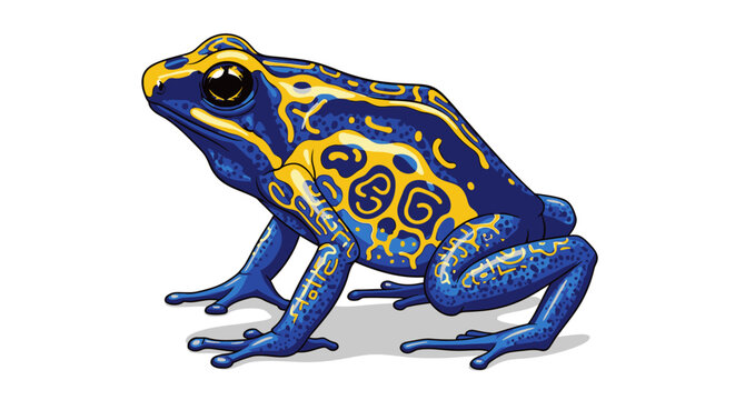 Poison Dart Frog Closeup Profile View.