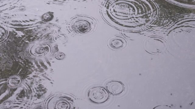 Cinematic Rain Water Dripping to puddle in Slow Motion