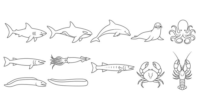 Seafood and ocean creatures illustrations.