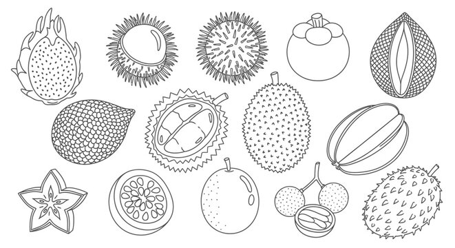 Variety of exotic fruit types 1.