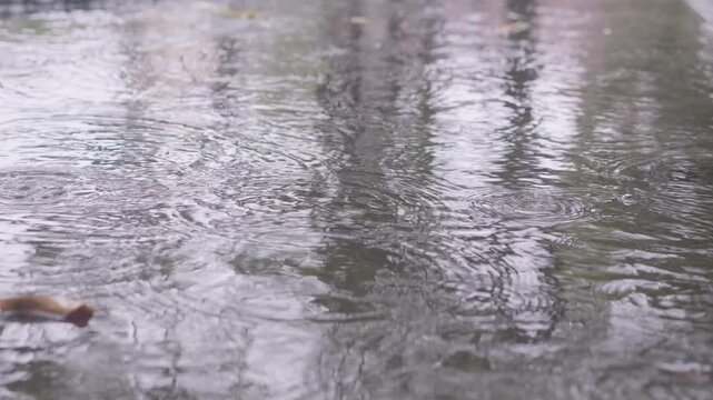 Cinematic Rain Water Dripping to puddle in Slow Motion