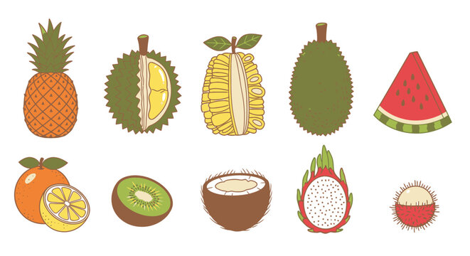 Variety of tropical fruit icons.