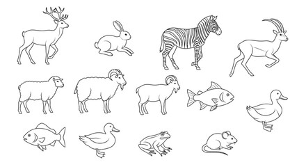 Naklejka premium Various animals in a single frame 5.