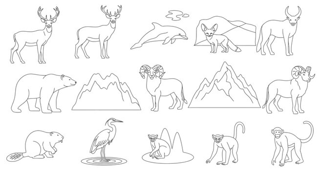 Various animals in different poses 1.