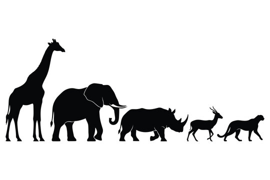Animal Silhouette Vector Design &ndash; Giraffe Elephant Rhino Deer Big Cat Minimalist Wildlife Illustration