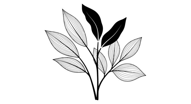 Black and white leafy plant branch.