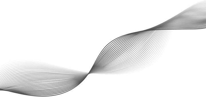 Abstract black and white wave background featuring a flowing vector design with elegant curve lines and a digital technology pattern for a modern business wallpaper illustration