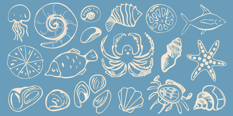 Sketch of various marine life and shells a blue background silhouette © Sujal