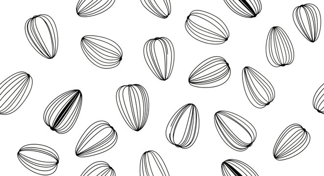 Hand-drawn sunflower seeds pattern on white background, simple line art