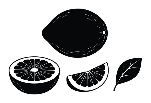 Guava fruit whole half slice and leaf black white graphic vector illustration set transparent background