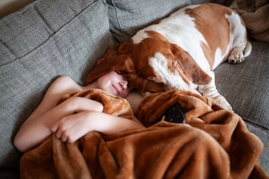 Child cuddling basset hound under blanket on cozy couch