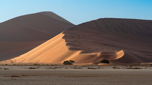 Dune in early morning light Sossusvlei Namibia