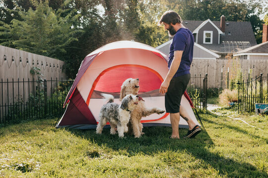 Man plays with his dogs in backyard near small red tent