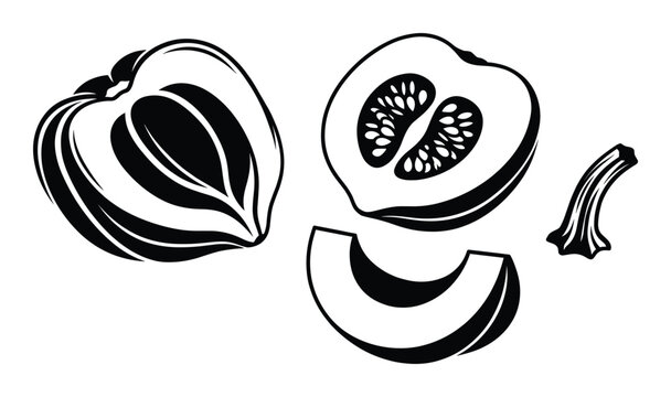 Various parts of pumpkin or squash sliced halves and stem on transparent background