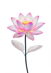 Fototapeta premium Delicate pink lotus in bloom, translucent leaves, studio lighting, symbolic flower, spiritual, water lily alternative.