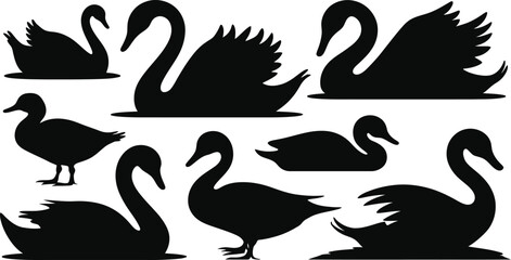 Beautiful collection of swan and duck silhouettes featuring graceful black bird shapes swimming and standing for elegant nature vector design projects. © Sumaiya