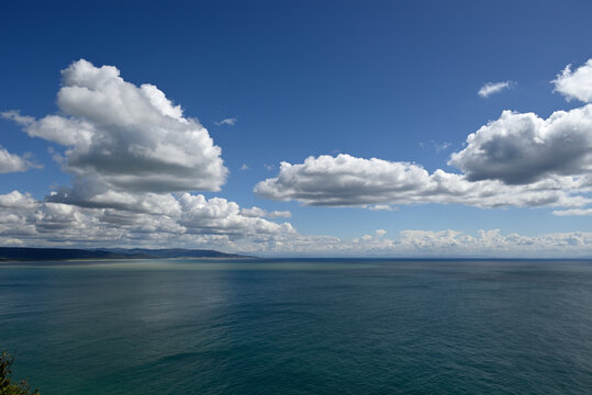 Parque natural de la Brena y las Marismas. Barbate, Andalusia, Spain, Europe.