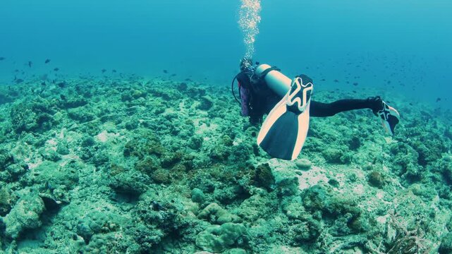 A scuba diver exploring the coral reef in Andaman Islands (in a dive site off Havelock island)