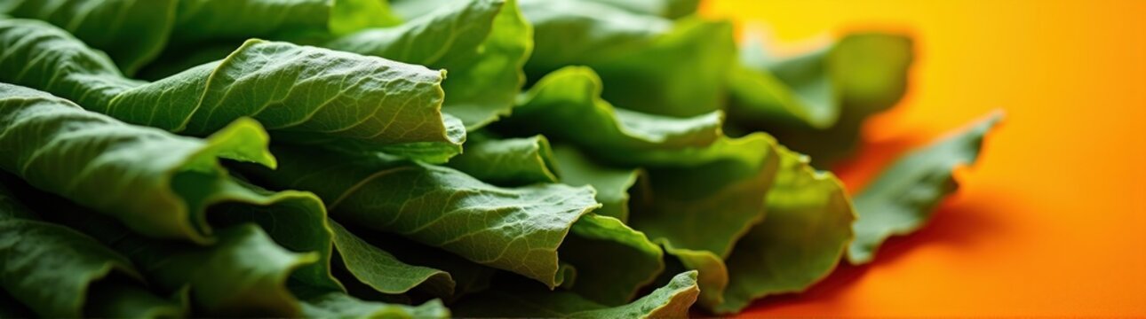 Close up of a bunch of lettuce on a table food background banner