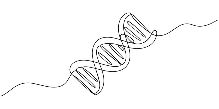 Minimalist continuous one line drawing of a dna double helix structure against a white background