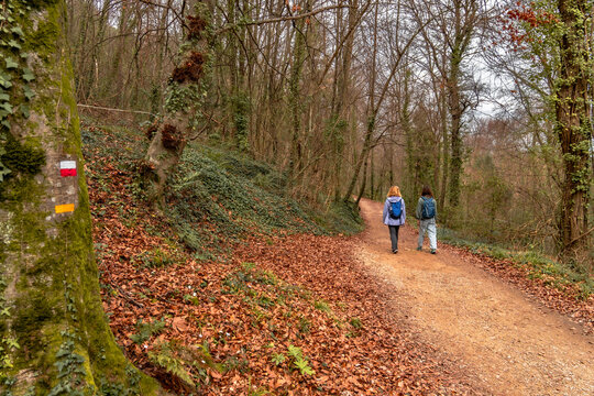 Two female hikers with backpacks walk along a quiet autumn trail in the beech forest of Fageda d'en Jord&agrave; in La Garrotxa, Catalonia, near a moss-covered tree with red, white and yellow trail markings.