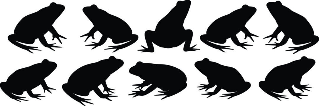 Frog silhouette collection set with different poses, amphibian wildlife illustration isolated in black for nature, biology, and environmental design concepts with minimal style